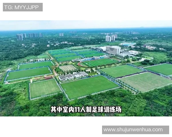 向南足球：探索南方足球的崛起与未来发展之路