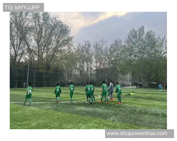 家庭足球门让孩子们在家中尽享足球乐趣培养运动兴趣与团队精神